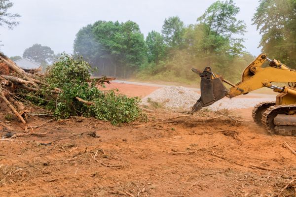 Ground Clearing in Midlothian
