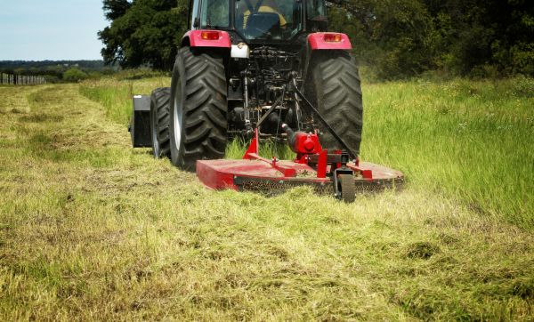 Brush Clearing Service in Midlothian