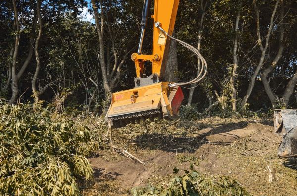 Brush Removal Service in Midlothian