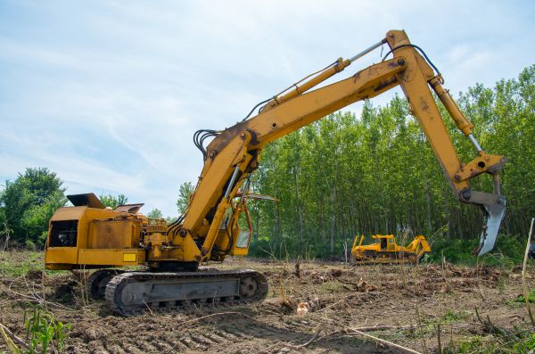Farm Clearing in Midlothian