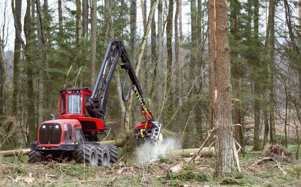 Forest Clearance Service in Midlothian