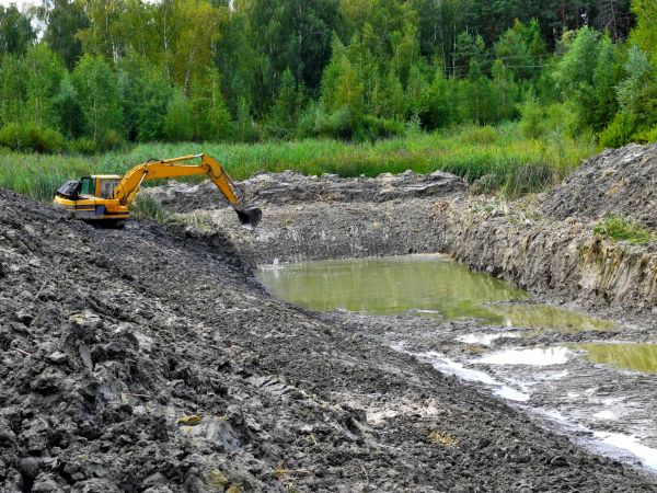 Lake Lot Clearing in Midlothian