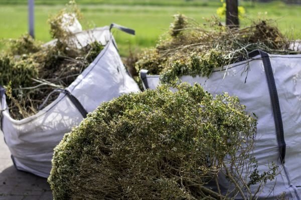 Bushes Clearing in Midlothian