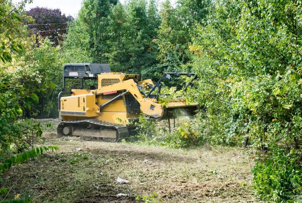Pathway Clearing in Midlothian