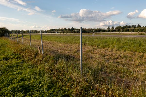 Property Line Clearing in Midlothian