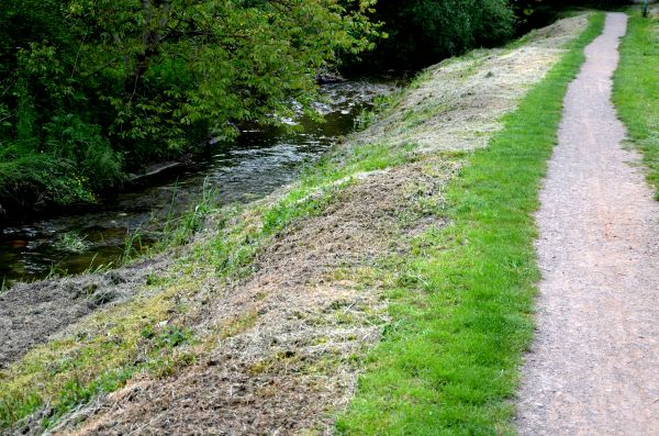 Trail Cutting in Midlothian